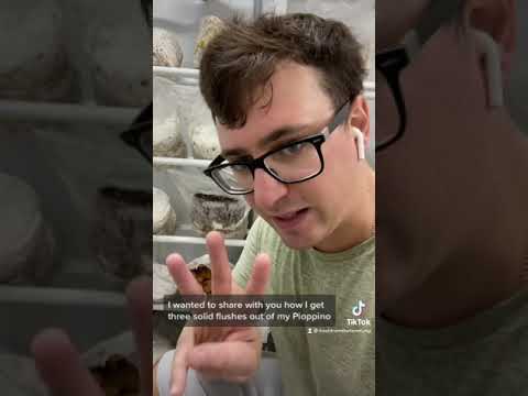 Tripple Flushes - how to get the most from a mushroom grow block