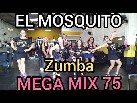 EL MOSQUITO | ZUMBA | MEGAMIX 75 | CUMBIA | PINTO WAHIN | ZIN CAROLINE FERNANDES & SOFIA PEREIRA