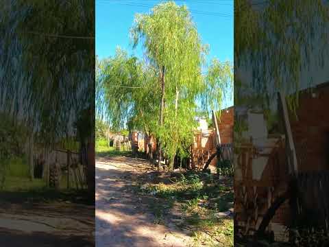 ¿ESTO ES FONTANA? No lo vas a creer 🚲🏘️