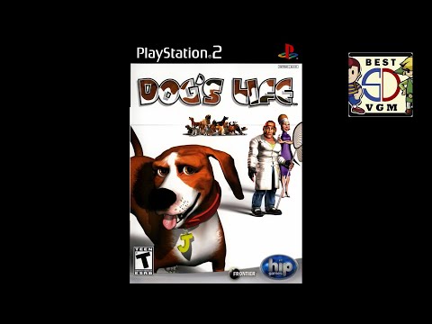 Best VGM 2766 - Dog's Life - Big Field