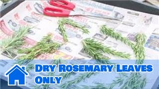 Herb Gardening : How to Dry Rosemary Leaves Only