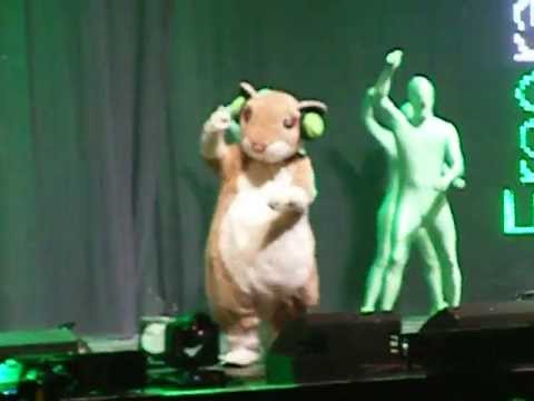 Free Radio Live 2012 - Humfree the Hamster