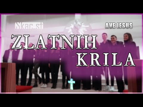 SKAC BEND Split - ZLATNIH KRILA