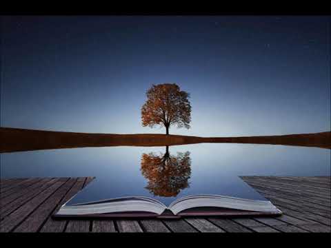 CSA Narratives with Dr Nigel Giam - Reflections During Covid Chaos