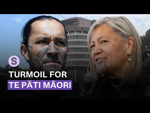 Explosive email sparks turmoil for Te Pāti Māori with accusations about MP and her son | Stuff.co.nz