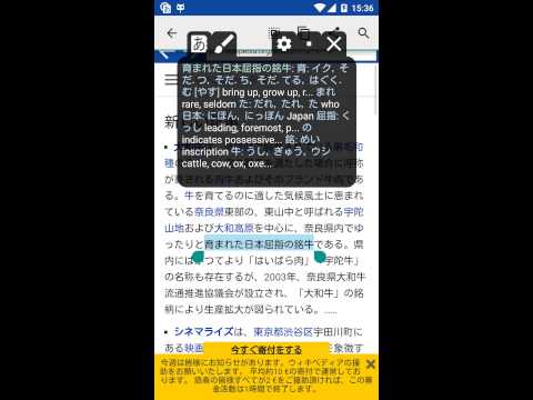 Aedict Reader Popup Video