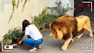 Isso Realmente Aconteceu nos Quintais das Pessoas