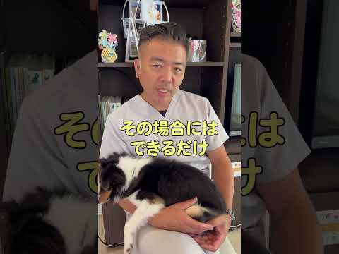 For owners who really want to sleep with their pet! #shorts