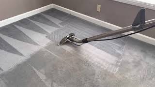 Deep steam carpet & upholstery cleaning in Myers Park Southpark NC