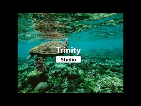 Fredji ft Arcade - Ocean