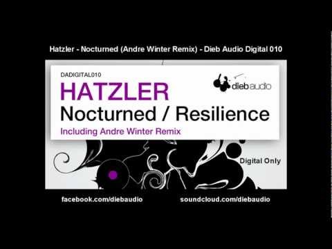 Hatzler - Nocturned (Andre Winter Remix) - Dieb Audio Digital 010