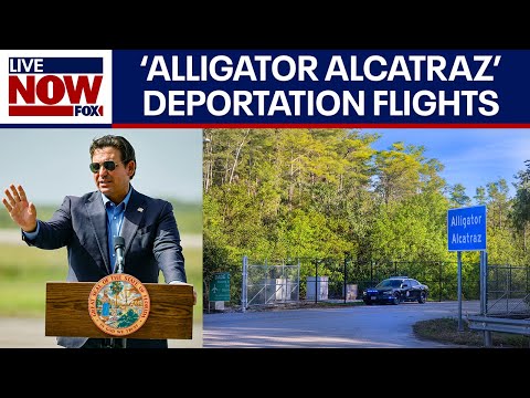 Video | 'Alligator Alcatraz' deportation flights begin in Florida, DeSantis says | LiveNOW from FOX