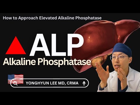How to Approach Elevated Alkaline Phosphatase (ALP)