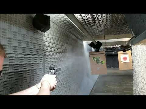 Smith and Wesson 617 w/Leopold Delta Point Pro