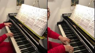 Download lagu Tschaikowsky : Danes de la fée dragée from The Nutcracker suite   チャイコフスキー : 金平糖の踊り　組曲「くるみ割り人形」より mp3