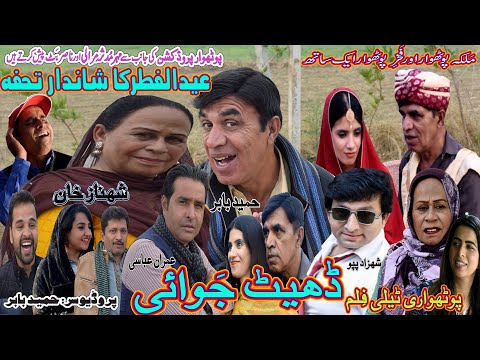 Pothwari Drama Dheet Jawai ǁ Hameed Babar Ramzani ǁ Qurbani Eid Special ǁ New Pothwari Telefilm 2024