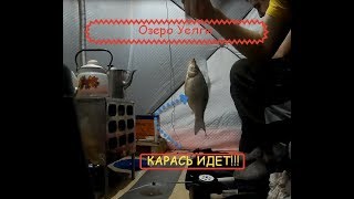 Ловля карася в челябинской области