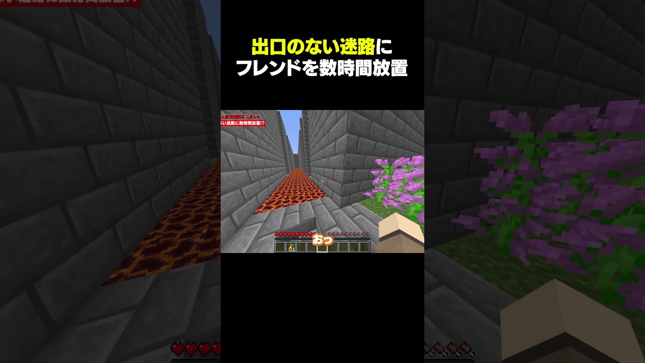 出口のない迷路にフレンドを放置してみた結果 #マイクラ