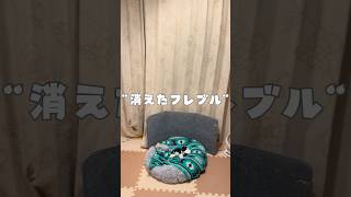 消えたフレブル😱