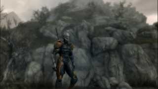 Skyrim Grey Fox MOD