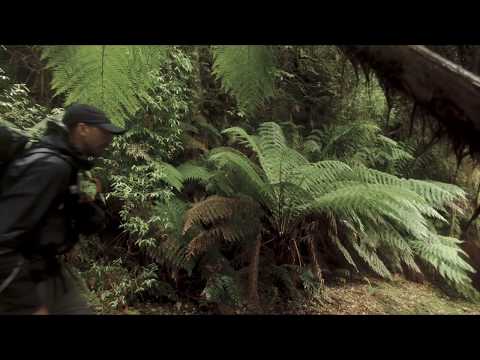 Solo hike in Tasmania, 19 days in the Tarkine