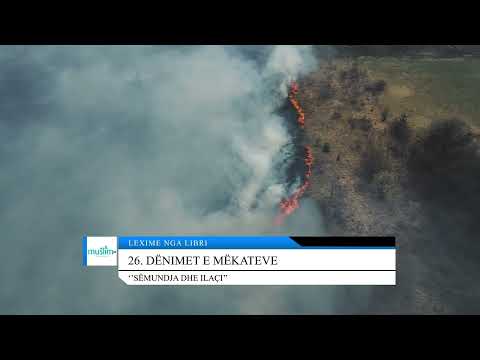 26. Dënimet e mëkateve - Lexime nga libri: ''Sëmundja dhe ilaçi''