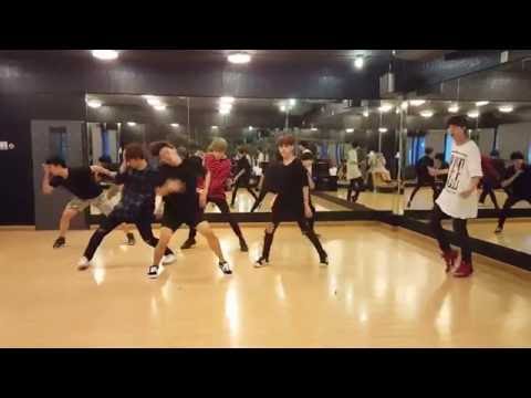 Bulletproof Cover BTS(방탄소년단) - Blood Sweat & Tears(피 땀 눈물) Dance Practice Ver.