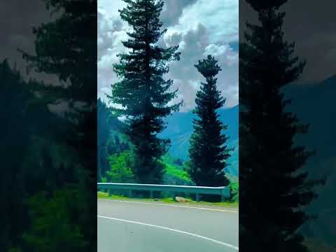 #nature #new #mahika #viral #happy #shorts