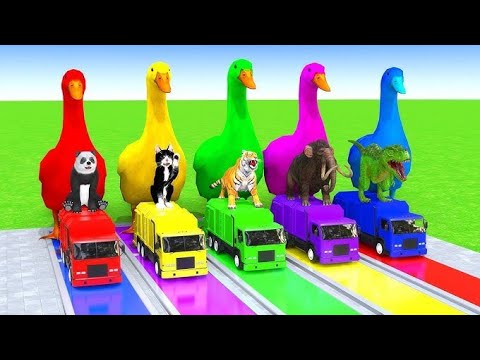 Long Slide Game With Elephant Gorilla Buffalo Hippopotamus Tiger - 3d Animal Game - Funny 3d Animals