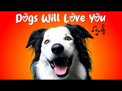 10 Sounds That Will Make Dogs Love You