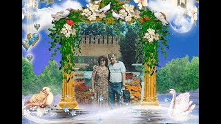 ����-����