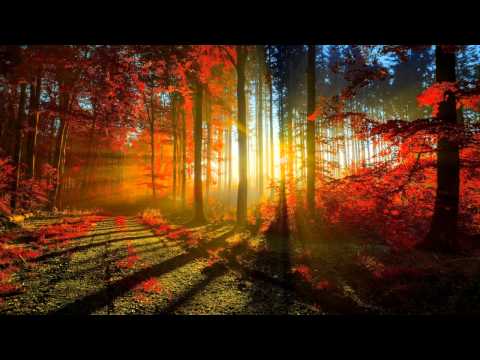 Tchaikovsky - Symphony No 3 in D major, Op 29 - Jansons