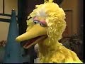 Sesame Street Episode 2073