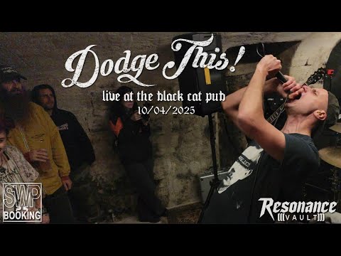 DODGE THIS ! - Black cat - 10/04/2025