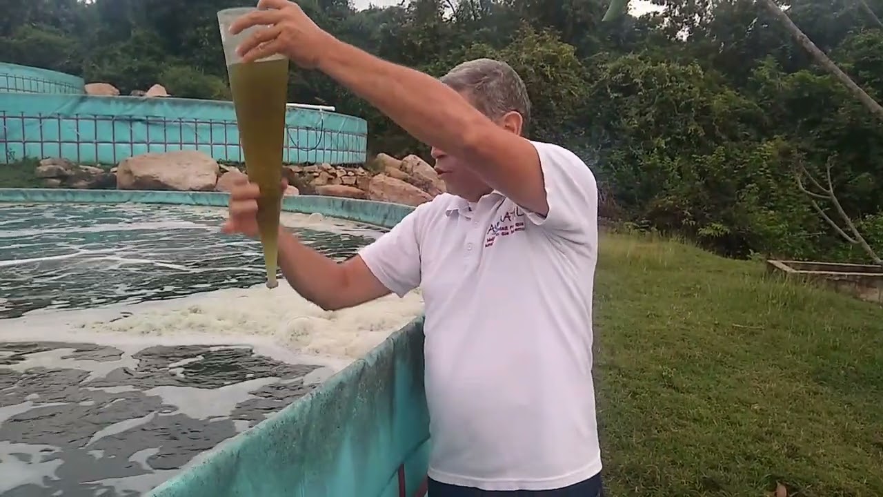 ¿Cómo medir los sólidos disueltos en el agua con el cono de Inmofh