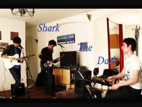 True Story - Shark In The Dark (essai)