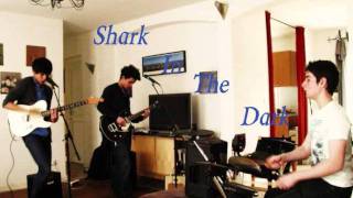 True Story - Shark In The Dark (essai)