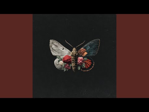 wonderland's burning down