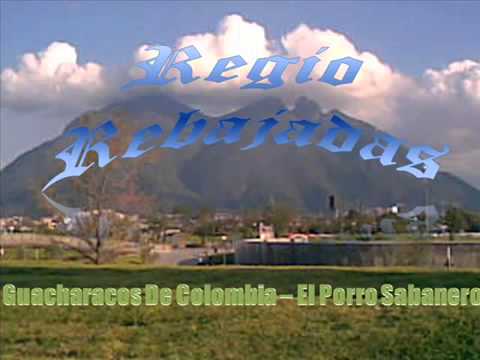 GUACHARACOS DE COLOMBIA - El Porro Sabanero