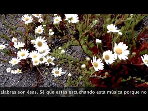 FLOWERS by Marina Cedro Tango 33 Publishing