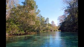 preview picture of video 'Kayaking the Weeki Wachee River'