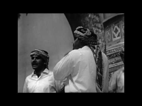 Revolution Until Victory / Off Frame (2016) - Trailer (English)