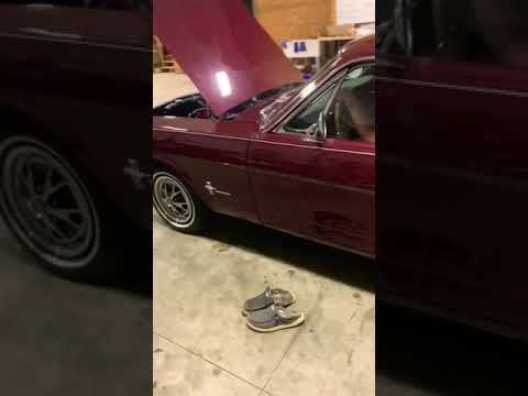 1965 Ford Mustang (CC-1520561) for sale in Berrien Center, Michigan