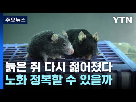 노화 역전 YTN 동영상 썸네일