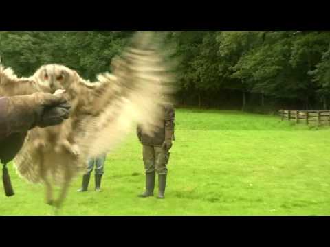 Eekholt Jugendfilmcamp 2012