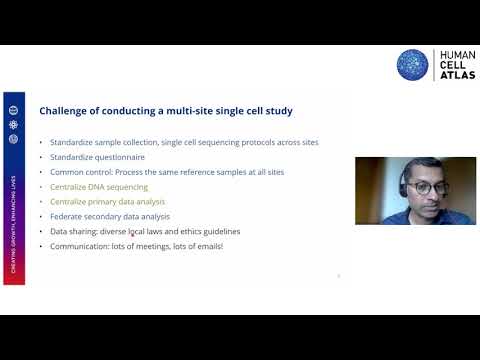 HCA Day 1, Asian Immune Diversity Atlas