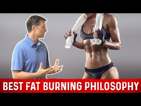 The Ultimate Fat Burning Guide Dr Berg s Webinar on Maximum Weight Loss