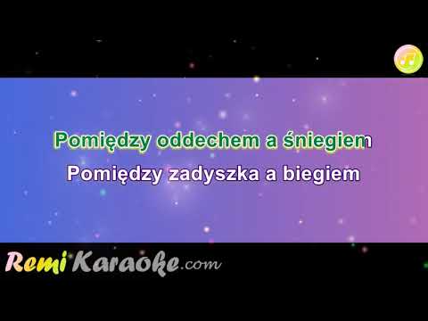 Seweryn Krajewski - Przemija uroda w nas (karaoke - RemiKaraoke.com)