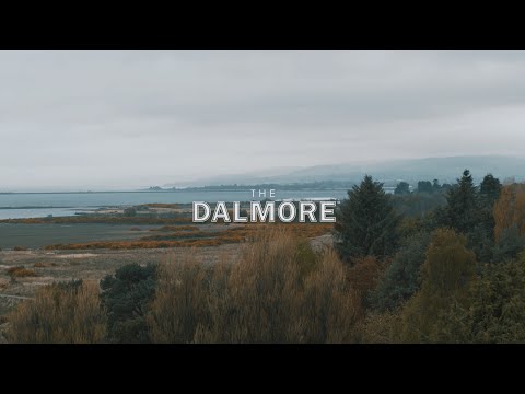 The Dalmore Vintage Selection - 2023 Edition