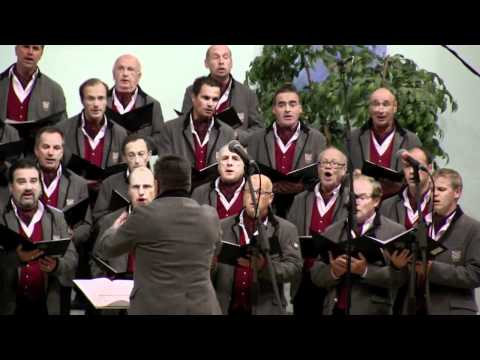 INTERKULTUR Report: In...Canto sul Garda 2011 - Closing - Coro Sasslong (I)